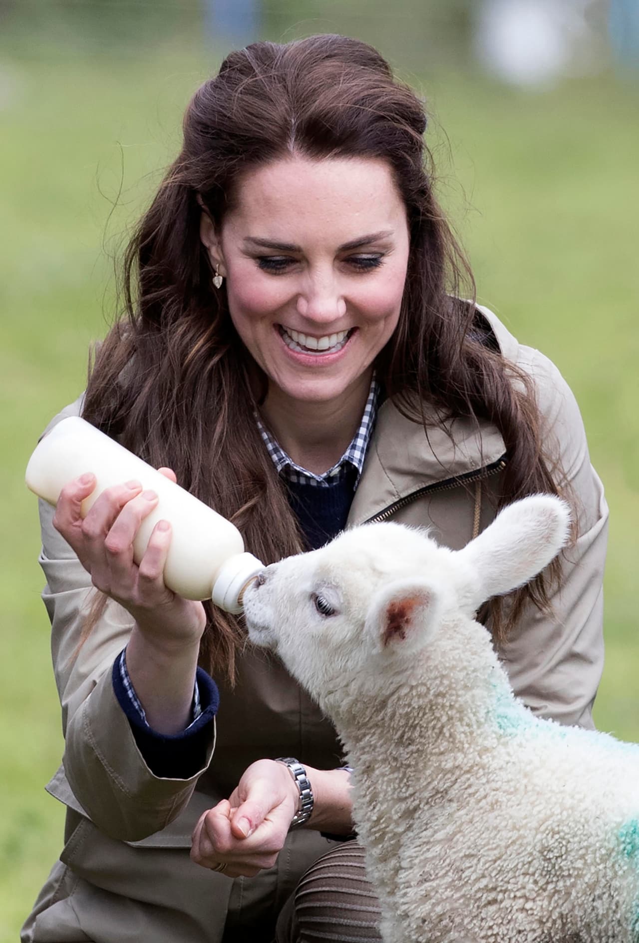 Photo © 2017 I Images/The Grosby Group Arlingham, UK May 3, 2017. The Duchess of Cambridge visits the Farms for city children charity in Arlingham, Gloucestershire. The charity allows groups of children from the inner cities all over the UK to spend a week living on a working farm and learning about farming and the countryside. The farm is part of a charity author Michael Morpurgo and his wife Clare founded in 1976. The charity offers urban children from all over the country a unique opportunity to live and work together for a week at a time on a real farm in the heart of the Gloucestershire countryside. Kate is pictured feeding a young lamb.