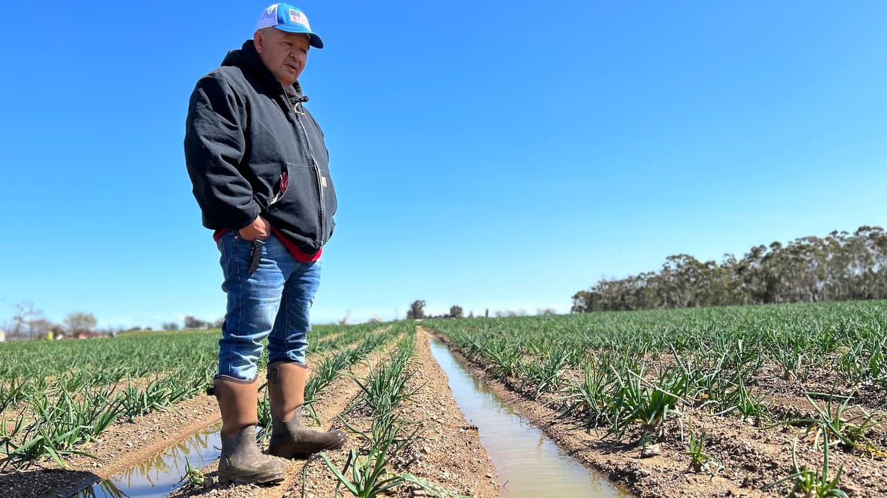 Tormentas invernales causan estragos en el campo y pérdidas de empleo