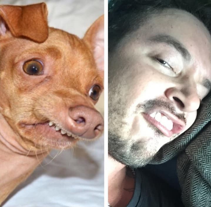 En las redes sociales se motivan a hacer este tipo de locuras y hasta se superan en ocurrencias.