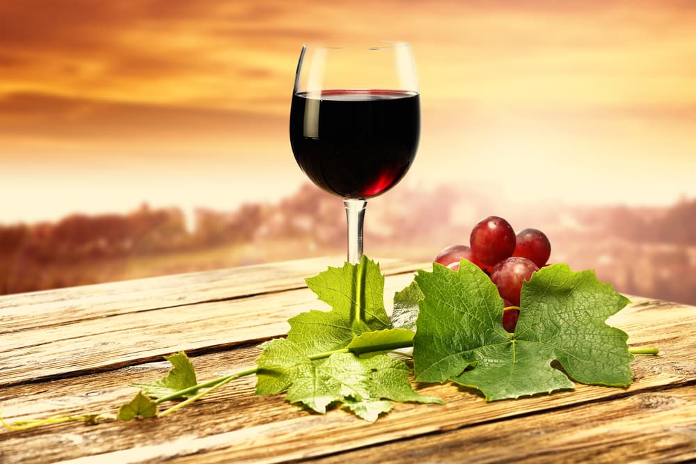 <b>Tauro</b>
<br>Como signo de tierra un vino que evoque los olores del campo, bien estructurado y seco como un Cabernet Sauvignon un Chardonnay o para alegrar el ambiente, una copa de sangría preparada con frutas y vino tinto, refrescante y ligera. Asimismo un Merlot o un Monastrelli le vienen muy bien a su signo.