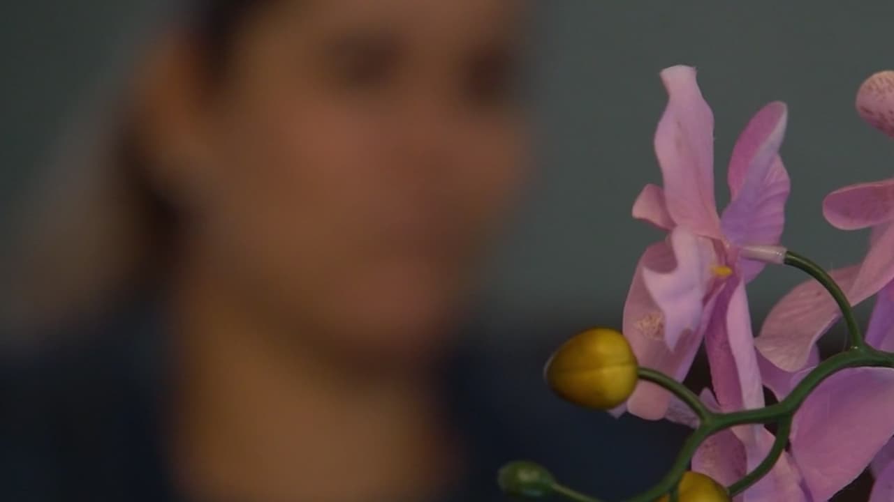 Mujer Inmigrante acumula casi 2 millones de dólares en multas migratorias