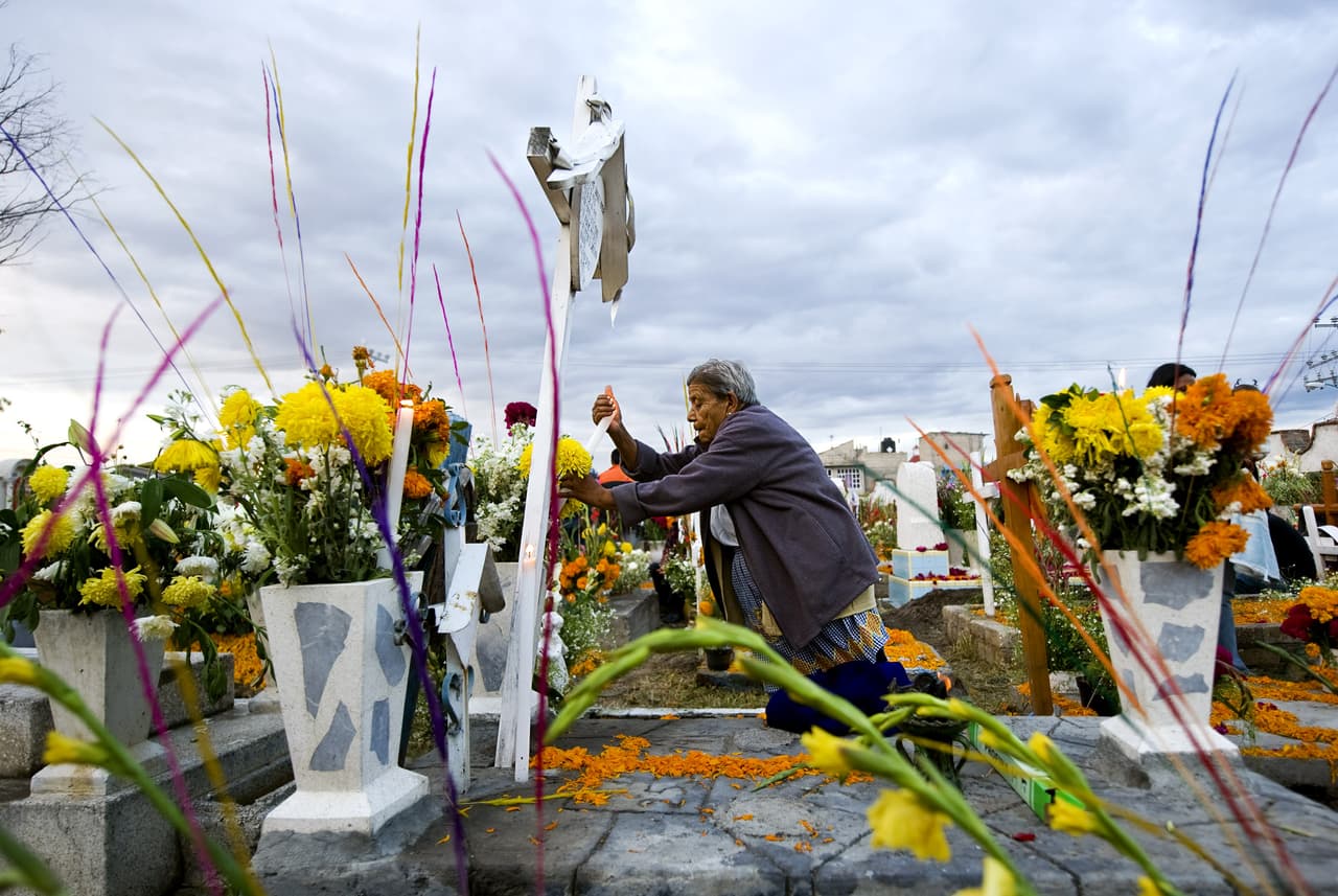 FLORES- De todas las flores que existen, en esta fiesta en especial se usan flores de cempasúchil, que además de dar un vivo color, también aromatiza. Se sabe que esta flor tiene propiedades curativas. En muchos lugares de México se acostumbran a poner caminos de pétalos para guiar a los difuntos desde el campo santo hasta la ofrenda y de regreso.