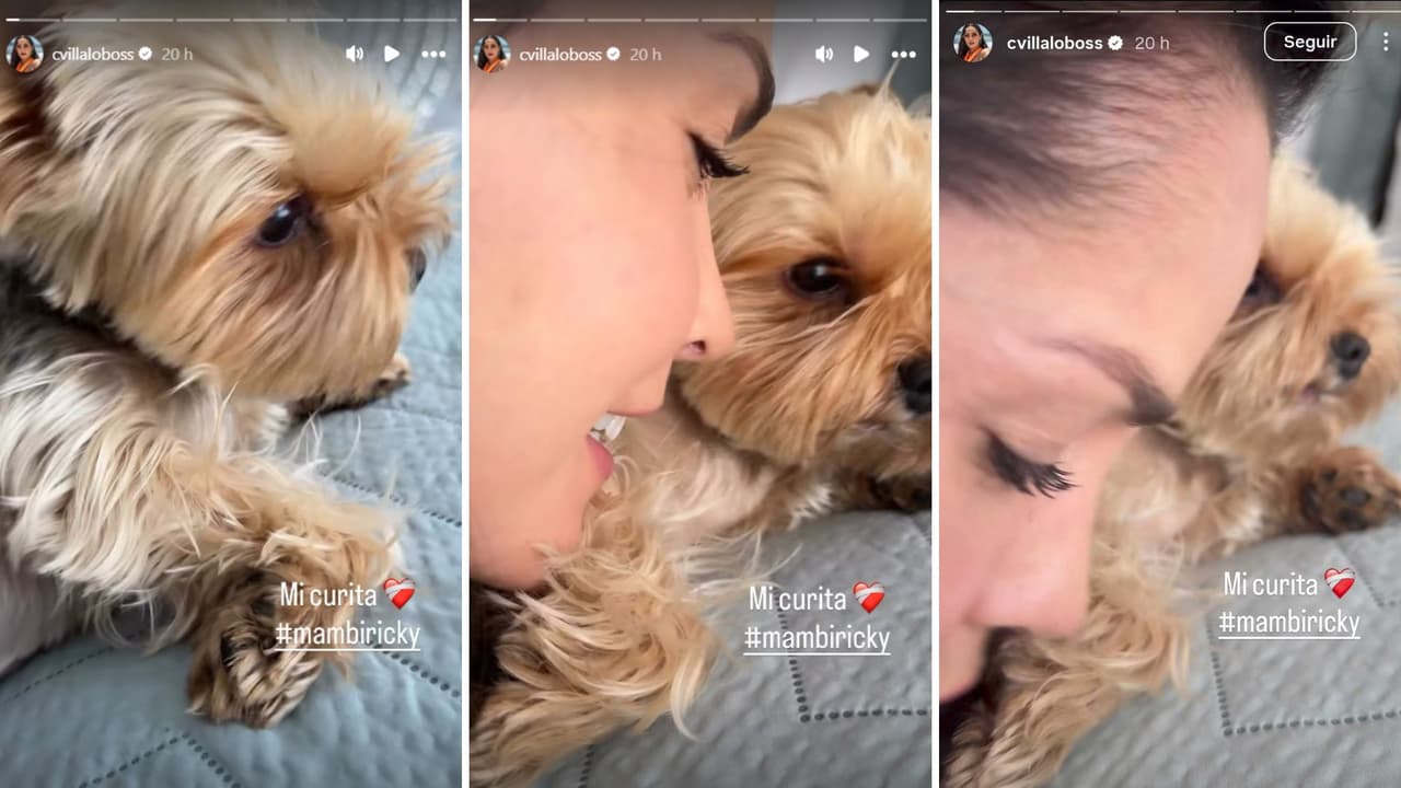 Carmen Villalobos presumió a su perrito Mambo, su "curita"