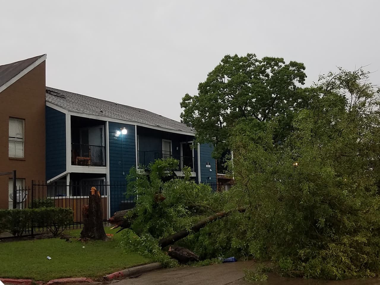 Josue Ramírez comartió esta imagen.