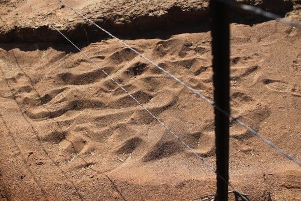 En algunos estados más que en otros, la legislación limita cada vez más a los inmigrantes.