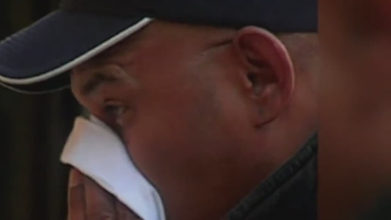 ¿Por qué aún tengo síntomas de alergia si los niveles de polen están bajos?