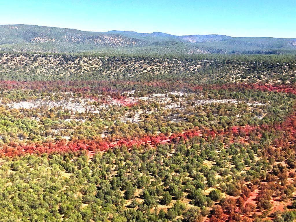 El incendio de Polles está ardiendo en el desierto de Mazatzal en la parte superior del Polles Mesa, alrededor de 11 millas al oeste de Payson, AZ y a 6 millas al sur de Pine-Strawberry, AZ.
<br>