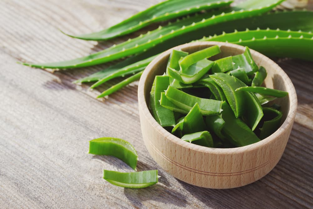 <b>Aloe vera.</b> Los beneficios del aloe vera también alcanzan al cuidado de nuestra piel, pues su pulpa, aplicada dos veces al día, contribuye a eliminar las manchas presentes en ella.