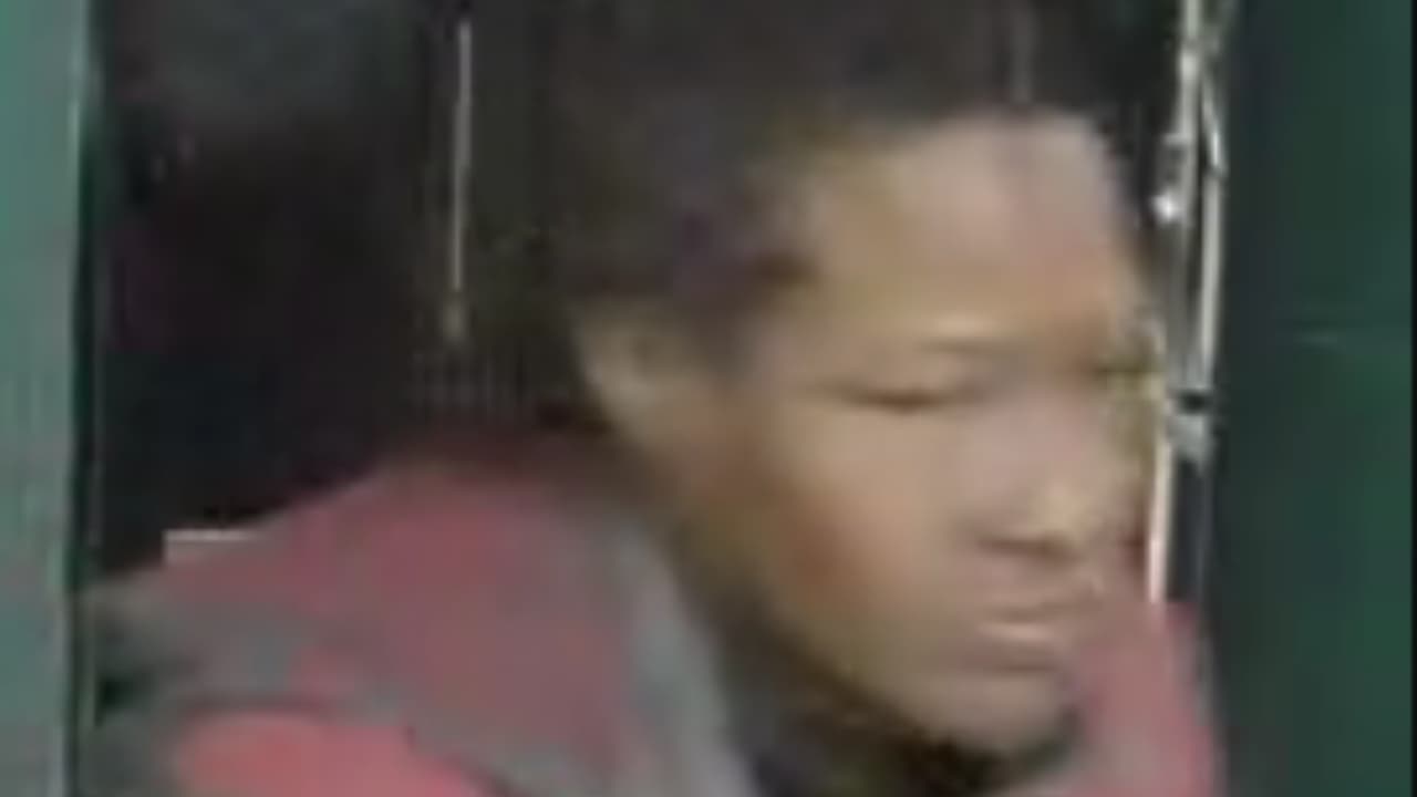 Intento de secuestro: mujer arrebata a niño de sus padres en Brooklyn