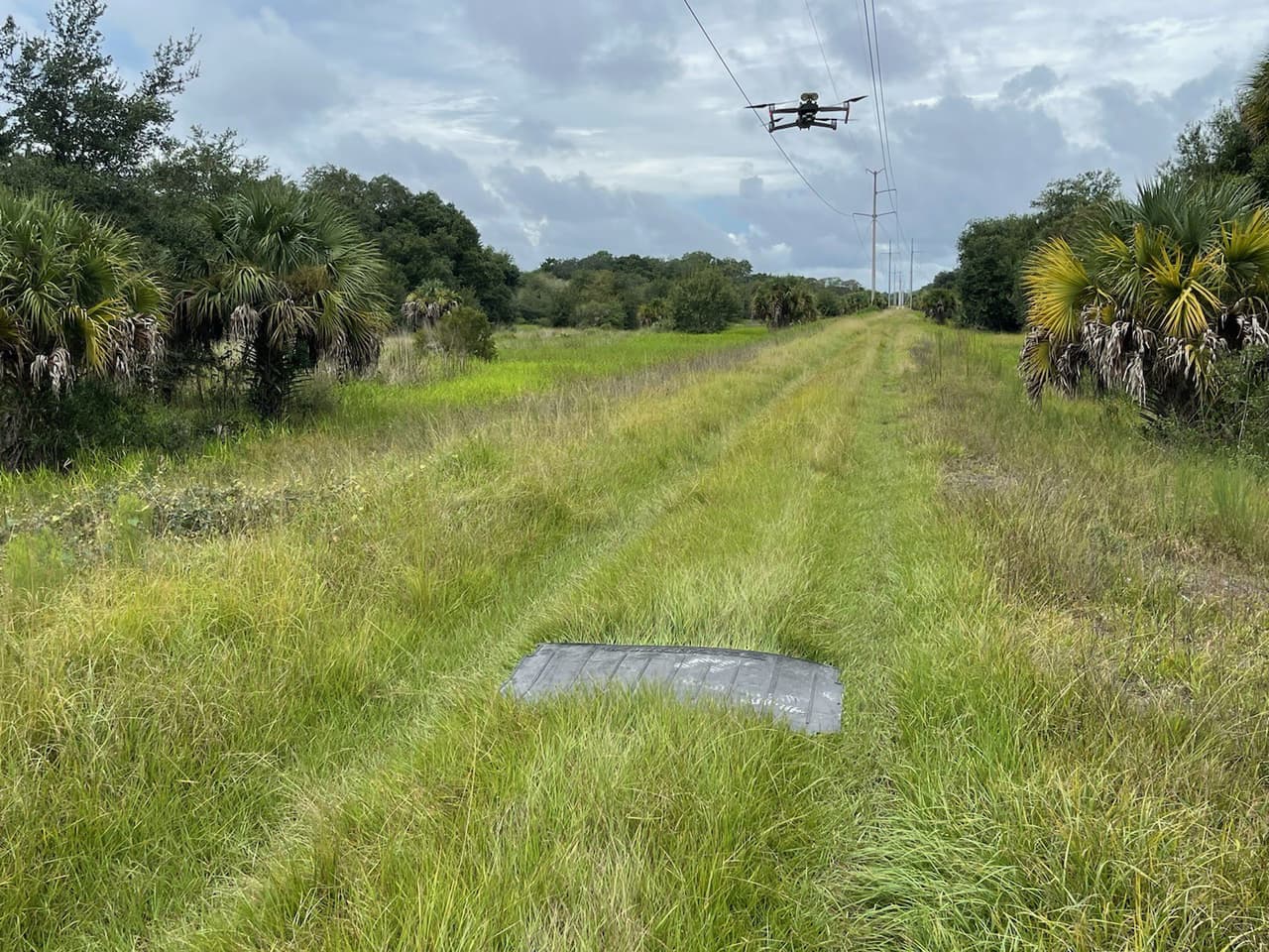 Las autoridades están utilizando drones, perros olfateadores y vehículos todo terreno para registrar la reserva, que tiene más de 100 millas (161 kilómetros) de senderos, así como áreas para acampar.