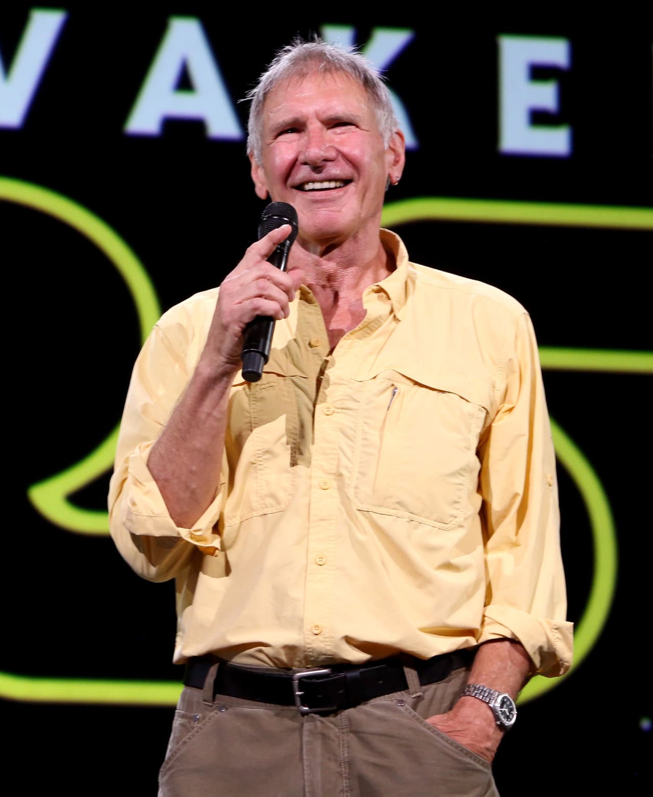 Harrison Ford sufre amnesia tras su accidente de avioneta