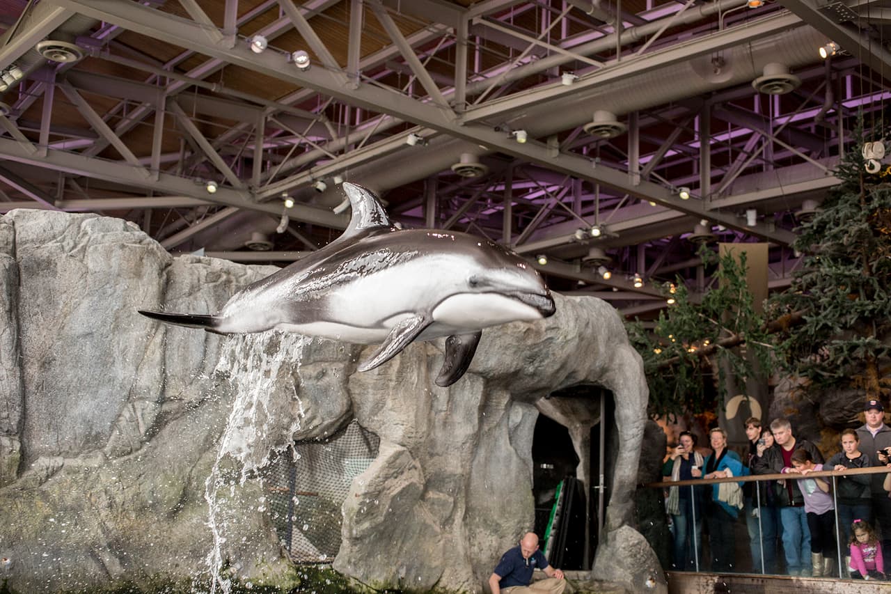 Se espera que Katrl dé a luz a finales de primavera.