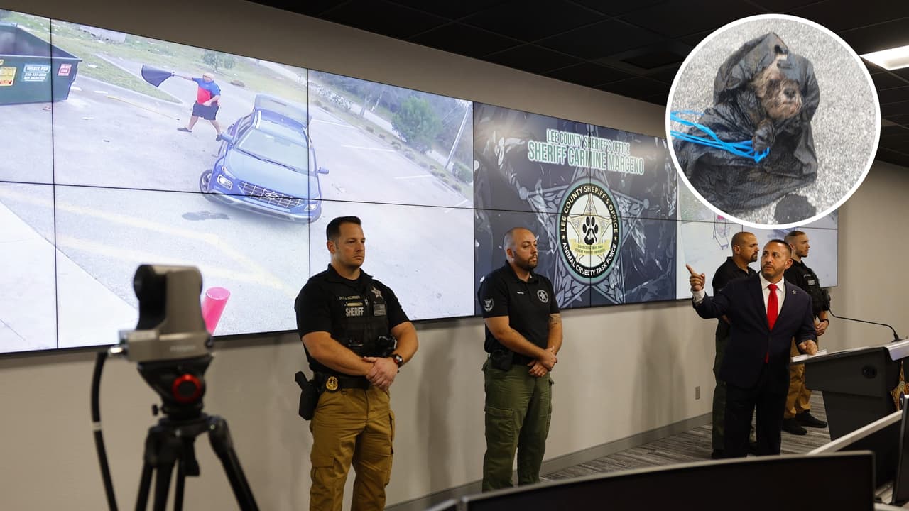 Detienen a hombre que tiró a una perra a la basura en el condado Lee
