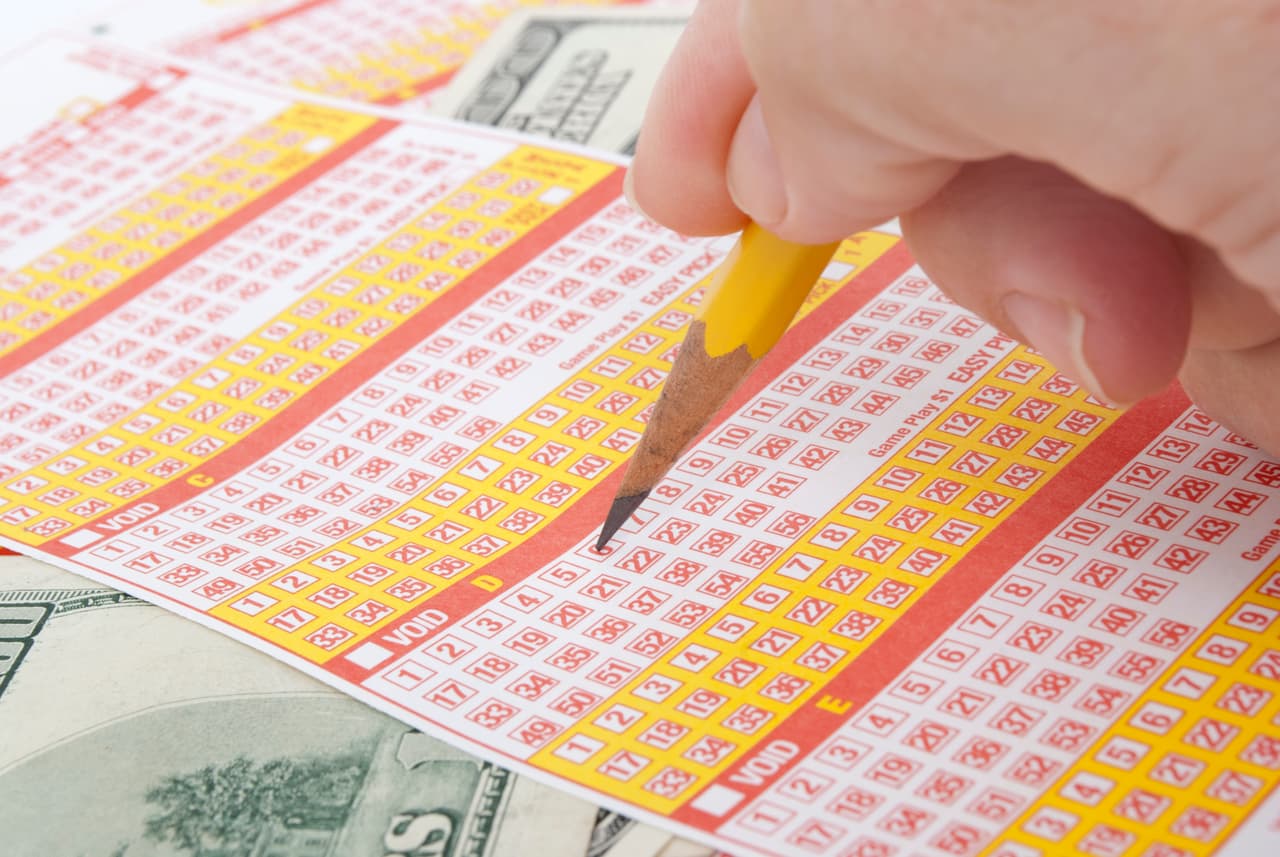 Las horas propicias serían las 6:00 am y las 6:00 pm con un intervalo de treinta minutos.