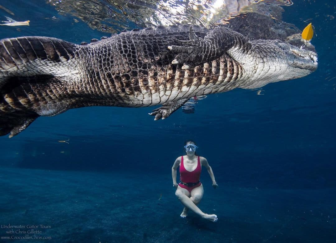 Maity le contó a Karla Martínez que con tan solo estirar los brazos podría tocar el caimán, aunque en esta ocasión prefirió no hacerlo y solo actuar en caso de que tuviera que ponerse a salvo.