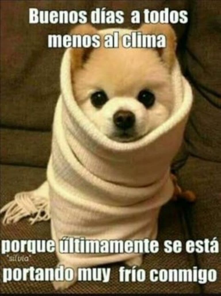 Y es que el frío parece ser menos deseado que el calor.