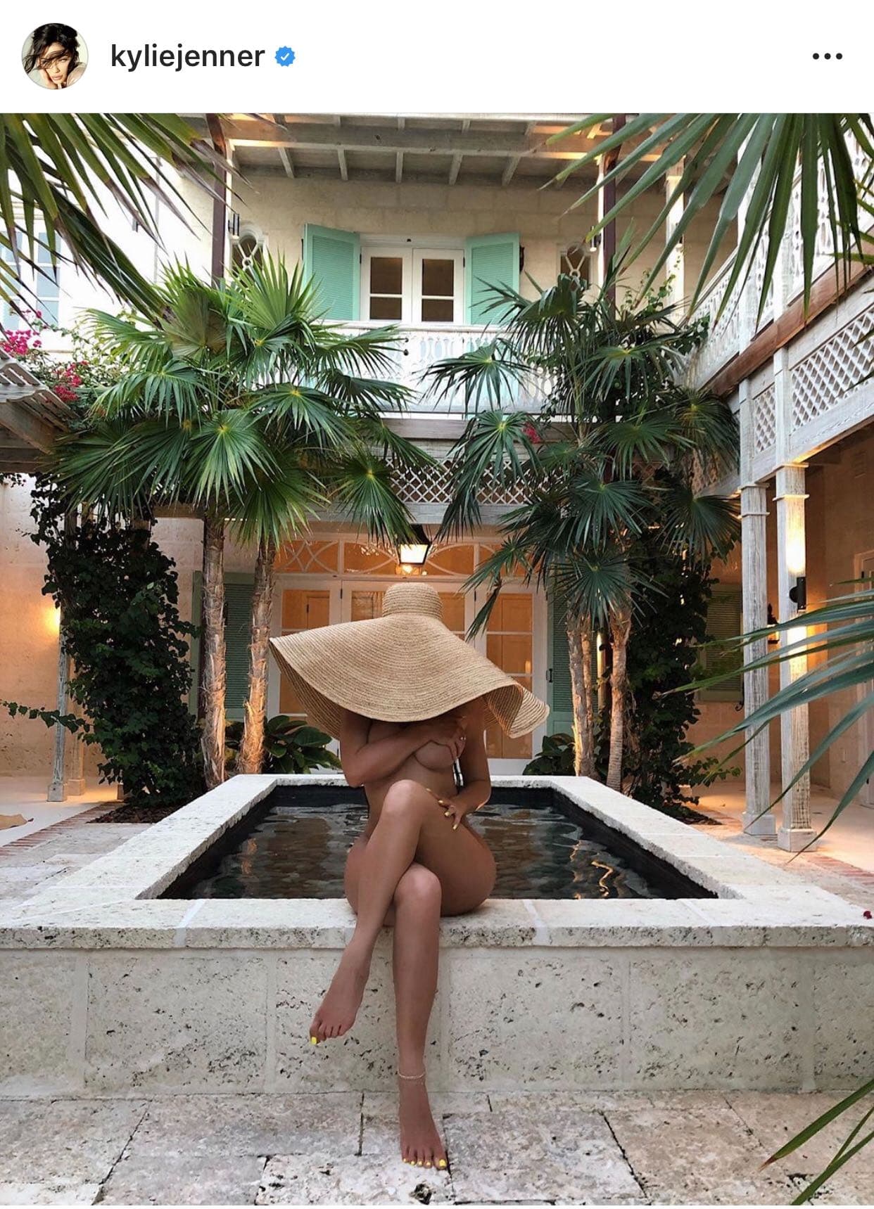 El pasado domingo 14 de julio de 2019, 
<b><a href="https://www.instagram.com/p/Bz509MxHgD6/">Kylie publicó esta foto </a></b>en su cuenta de Instagram, la cual en dos días logró casi 11 millones de 'me gusta' por parte de sus seguidores.
<br>