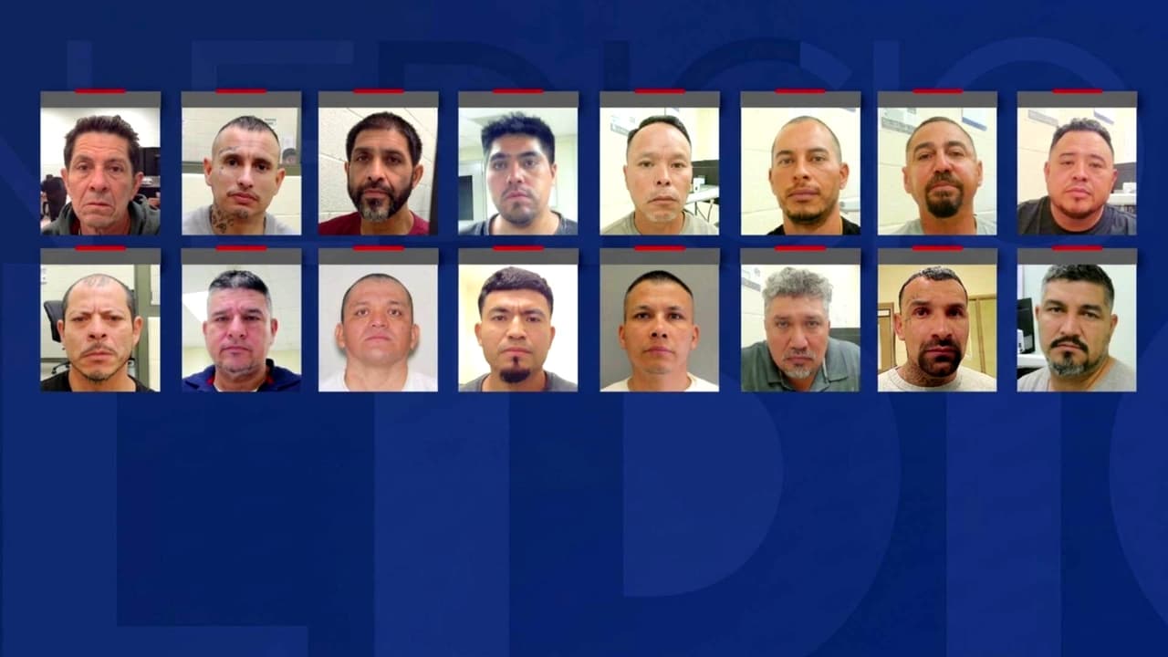 ICE Houston detuvo en mayo a inmigrantes con más de 1,700 condenas y 1,200 delitos: te explicamos