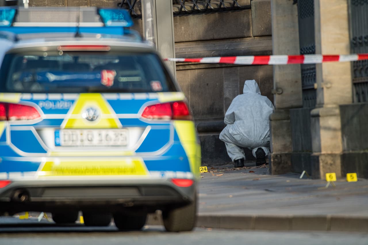 “Haremos todo lo que esté en nuestra mano no solo para recuperar los tesoros culturales, sino para capturar a los responsables”, dijo Woeller.