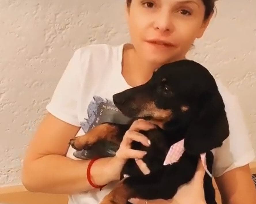 El pasado 20 de octubre, la actriz explicó en entrevista para 
<b>Hoy</b> por qué decidió guardar silencio respecto a su contagio de covid-19. 
<br>