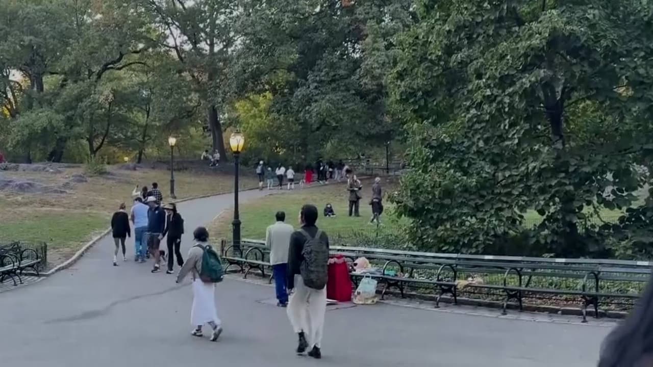 Buscan a hombre acusado de agredir sexualmente a una mujer en Central Park