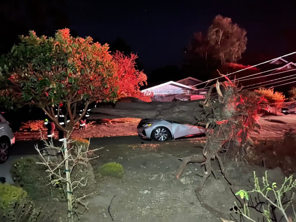 CalFire indicó que los vientos seguirán siendo fuertes y recomendó que nunca te acerques ni toques cables de electricidad que han caído.