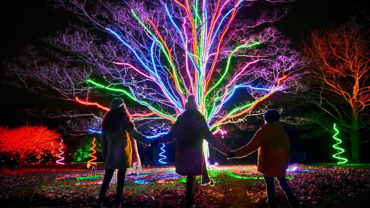 Árboles de luces de neón como este podrán sorprenderte si visitas el jardín botánico por estos días.