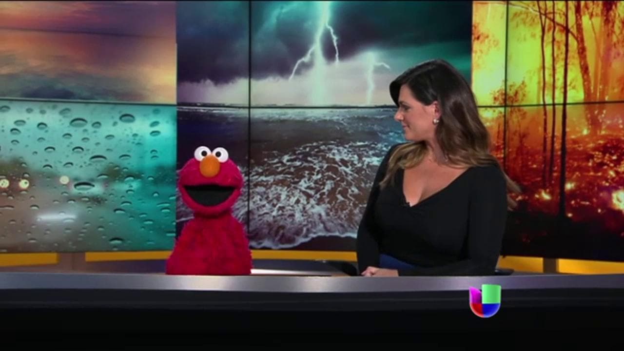 Luego de producir la primera parte del segmento, Elmo caminó desde la sala de producción hasta el estudio donde se encontraban Bárbara y Rosita. Al llegar, nos invitó a ver su nueva aventura Sesame Amigos.