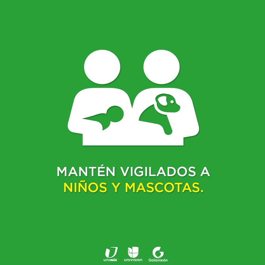 Presta especial cuidado a los menores de edad y a las mascotas, ya que ellos no detectan las posibles situaciones de peligro.