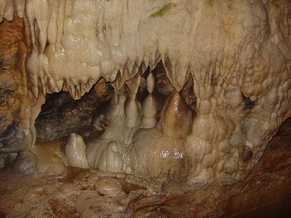 <b>Linville Caverns (Condado de McDowell)</b>: En lo profundo de la montaña Humpback se encuentra posiblemente la caverna más popular de Carolina del Norte. Linville Caverns te lleva directamente desde Carolina del Norte a un laberinto de túneles oscuros con formaciones rocosas que muchos podrían considerar de otro mundo. La caverna permanece a 52 grados durante todo el año y alberga un pequeño arroyo con truchas ciegas y algún que otro murciélago.