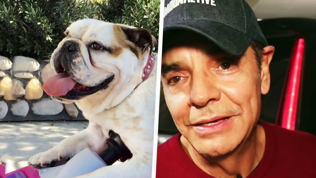 Eugenio Derbez habla por primera vez de la muerte de su perrita: “Era mi compañera de vida”