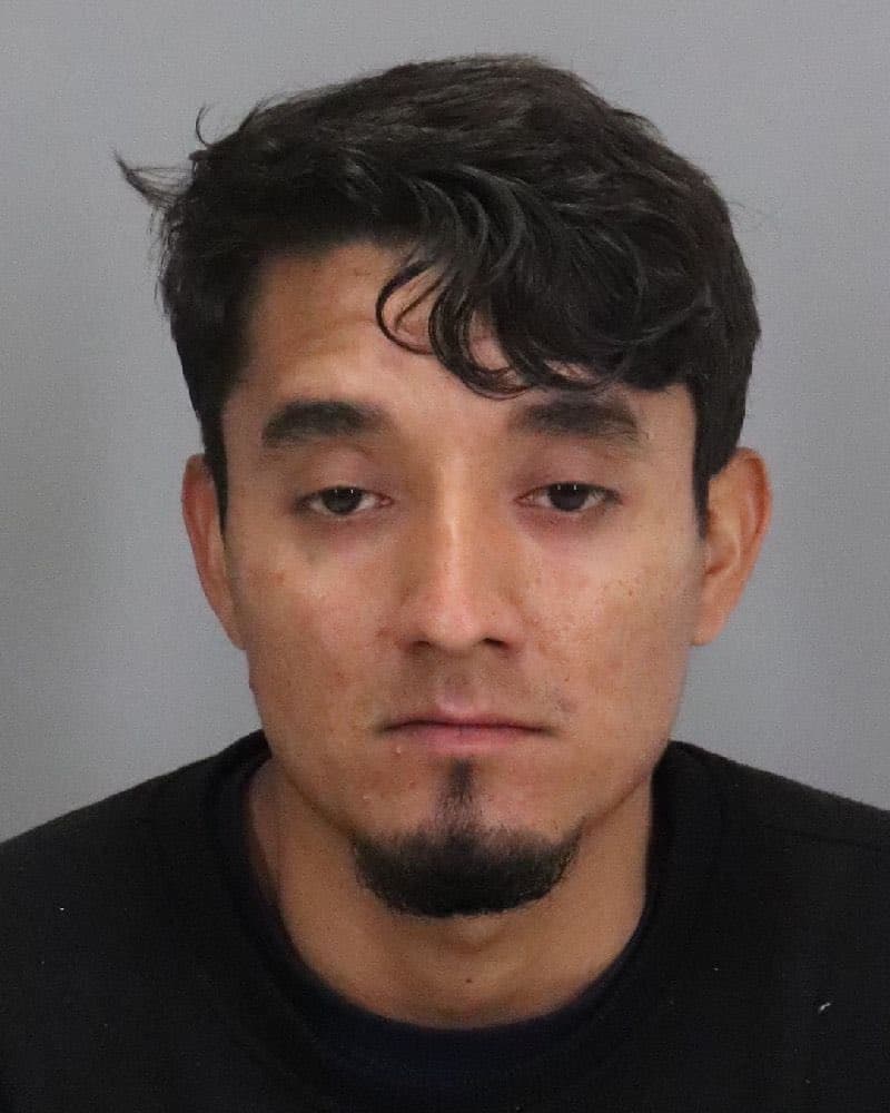 El sujeto resultó ser 
<a href="https://www.univision.com/local/san-francisco-kdtv/secuestro-bebe-brandon-cuellar-sospechosos-yesenia-ramirez-jose-portillo" target="_blank">José Román Portillo</a>, de 28 años, quien fue detenido al día siguiente en su vivienda a cinco millas de donde presuntamente se llevó al bebé. La Fiscalía dijo que había comprado pañales y fórmula para recién nacidos con el objetivo de cuidar al menor robado.