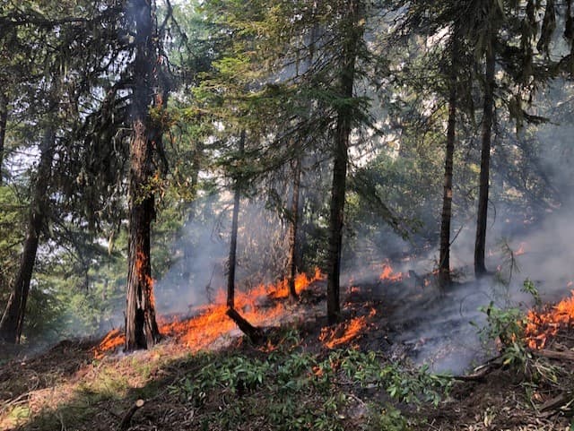 <a href="https://www.fs.usda.gov/klamath/" target="_blank">Bosque Nacional Klamath</a>: Este bosque nacional está siendo afectado por el 
<a href="https://inciweb.nwcg.gov/incident/7173/" target="_blank">incendio Slater</a> en el norte de California, el cual ya ha consumido 30,000 acres.