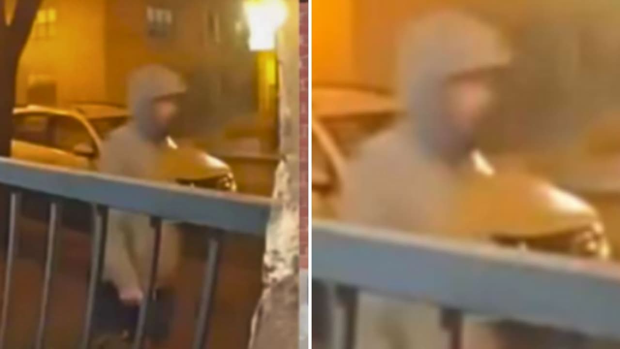 El caso había movilizado a las autoridades, que pidieron la ayuda del público para identificar al sospechoso. Según la descripción proporcionada por la
<a href="https://dallaspolice.net/home" target="_blank">Policía de Dallas</a>, se trataba de
<b>un hombre de entre 25 y 30 años, de ascendencia blanca o hispana, con una estatura de entre 5’8” y 5’11” (1.73 y 1.80 metros)</b>,
<b>complexión delgada y cabello oscuro.</b>