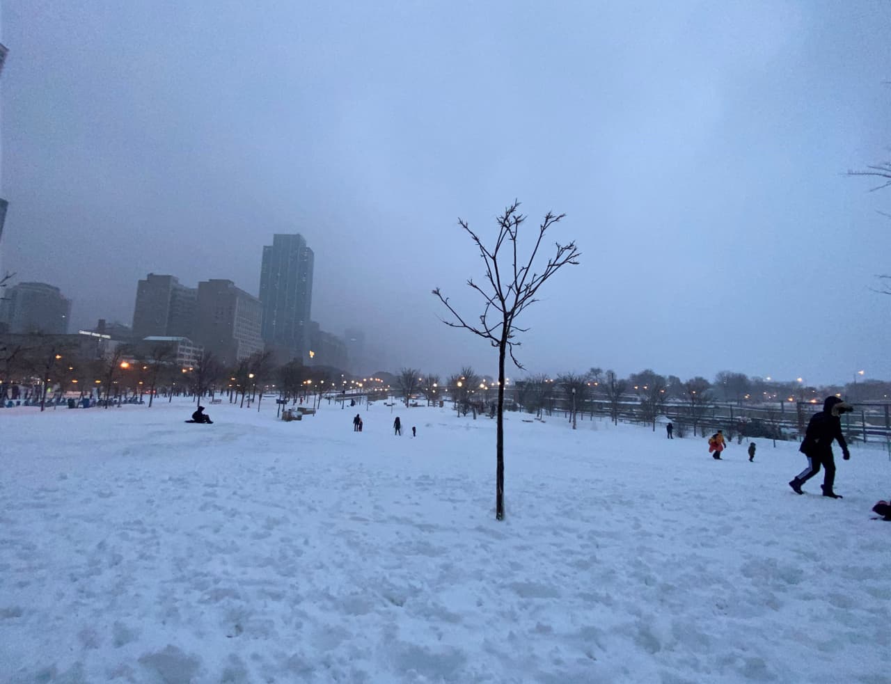 Otra de las áreas que se vio inundada de familias fue el Grant Park en la parte sur, cerca de la pista de 'skateboarding', o área para patinetas.