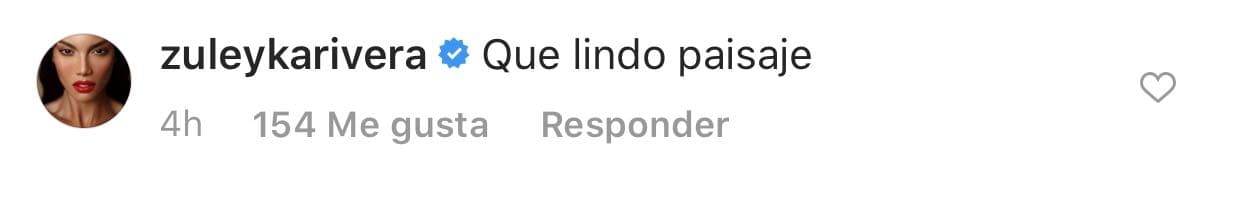 La famosa modelo Zuleyka Rivera le puso: "Qué lindo paisaje".