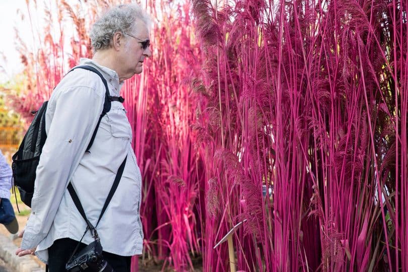 Anualmente, el evento presenta impresionantes exhibiciones de los principales diseñadores florales y paisajistas del mundo.
