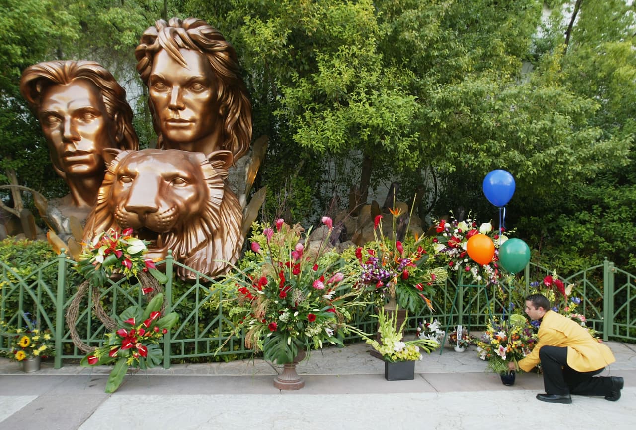 Aunque había público y grabaciones del incidente, públicamente no trascendieron. Extraoficialmente se decía que Roy Horn se había caído y el tigre Montecore, de 7 años, lo había mordido por el cuello.