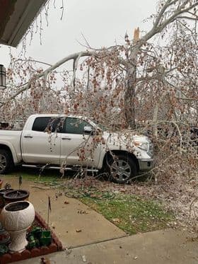 Desde Pflugerville, una televidente nos hace llegar esta foto de un árbol roto.
<br>