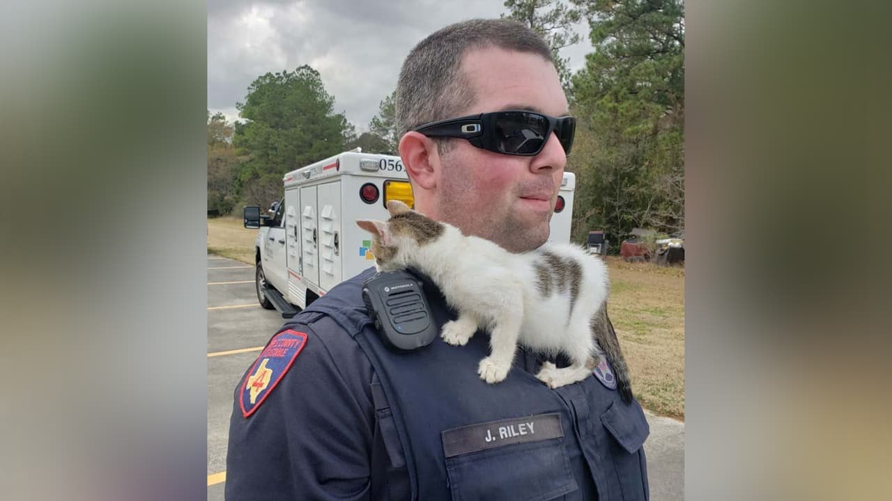 La investigación continúa.