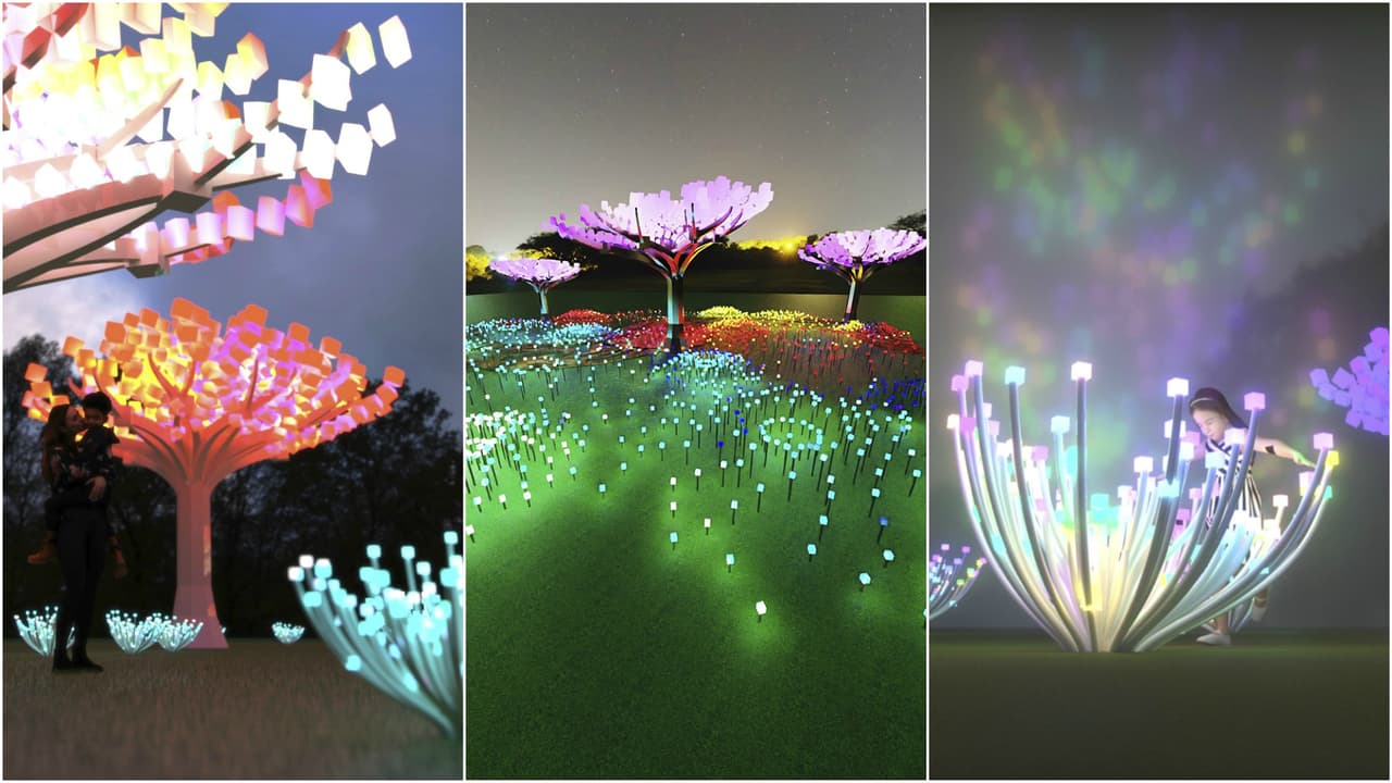 Más de 2,000 luces transformaron este parque de San Francisco en un “bosque encantado”