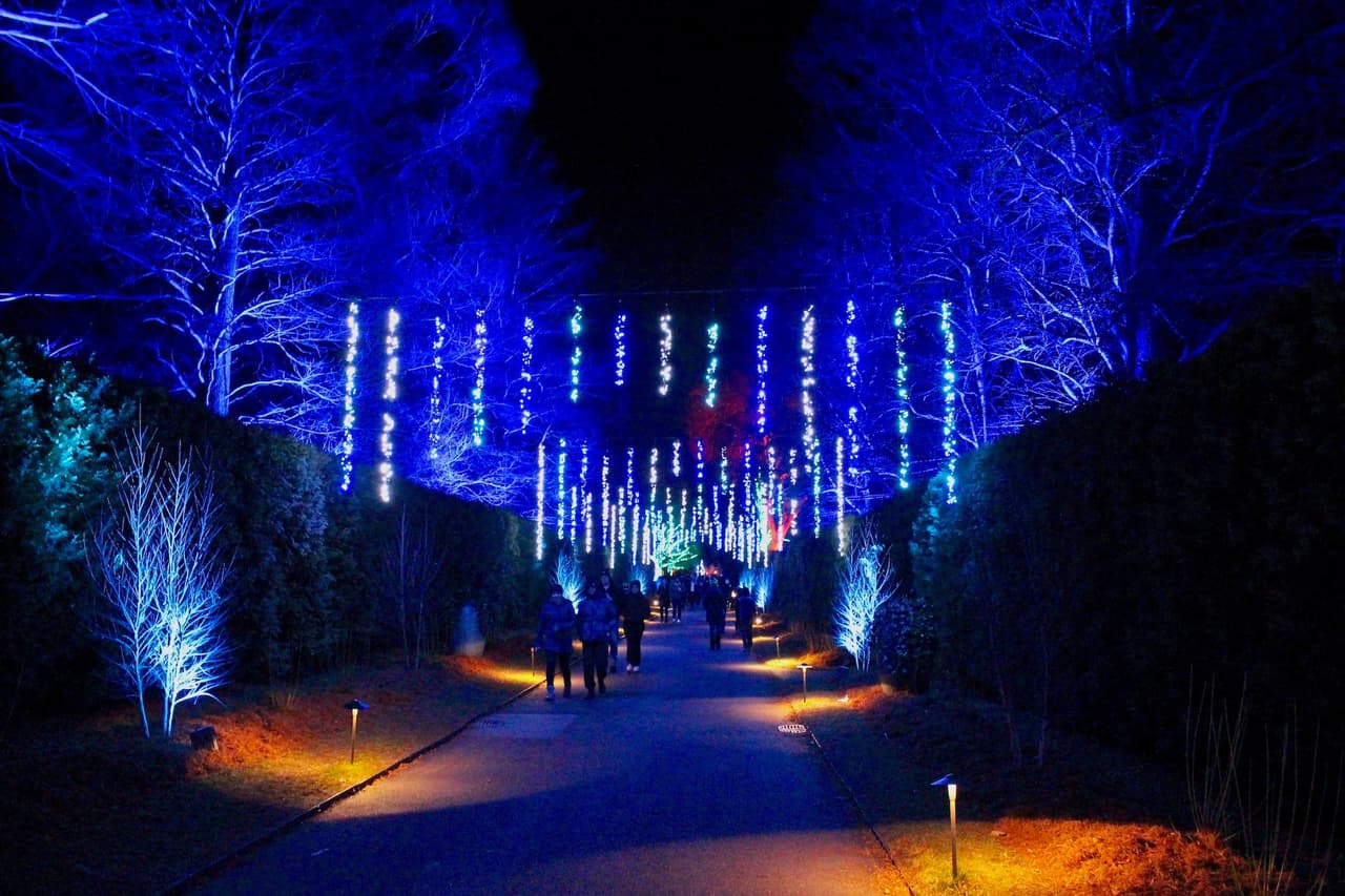 <b><a href="https://longwoodgardens.org/gardens/our-seasons/longwood-christmas">A Longwood Christmas at Longwood Gardens (Hasta el 8 de enero)</a></b>. Cada temporada navideña, los mundialmente famosos Longwood Gardens de Kennett Square se transforman en un país de las maravillas invernal durante el enormemente popular A Longwood Christmas.