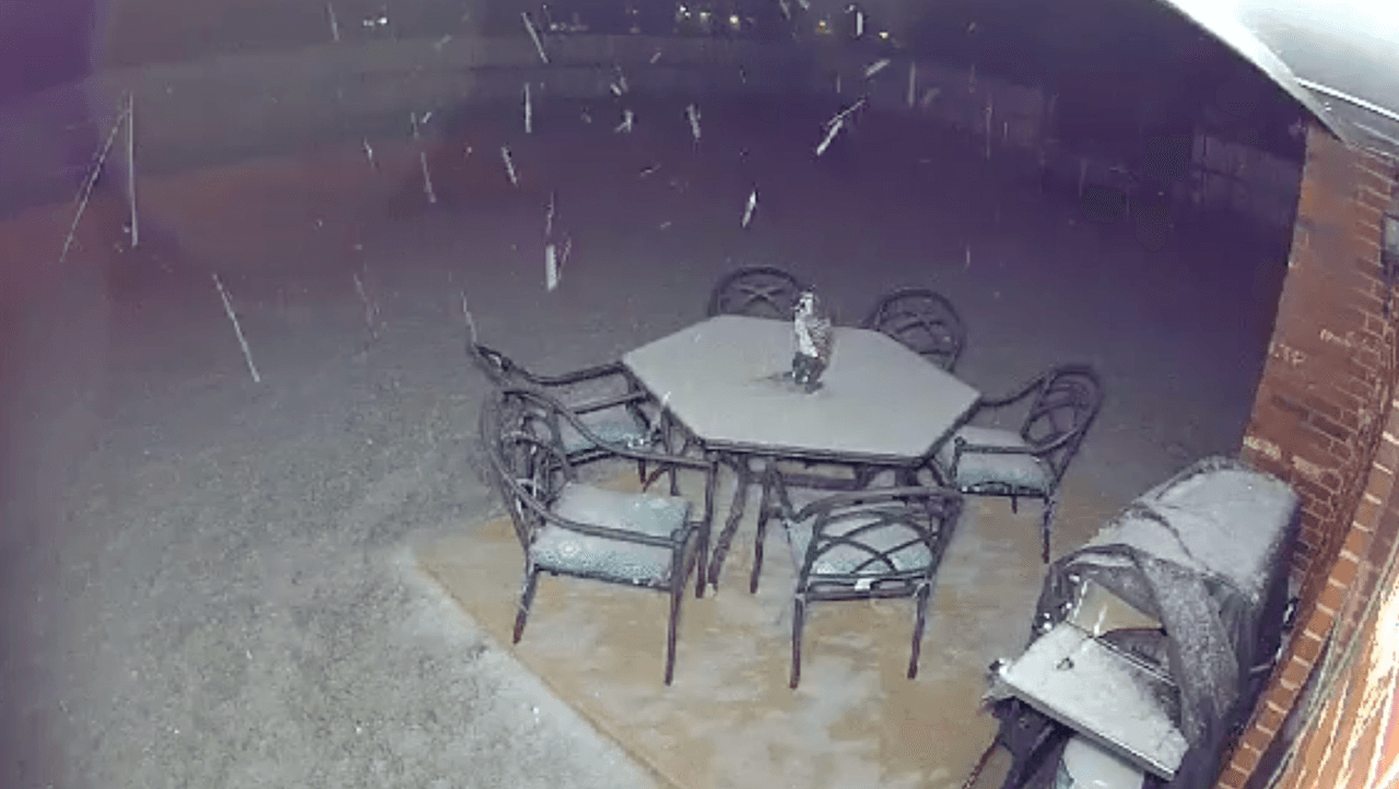 En Frisco, Marcial Orozco nos envió esta fotografía de su patio con su comedor y asador cubierto de nieve.