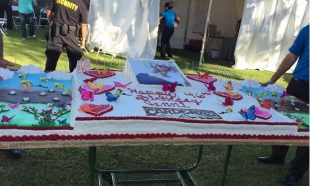 El pastel estaba decorado con mariposas y flores.