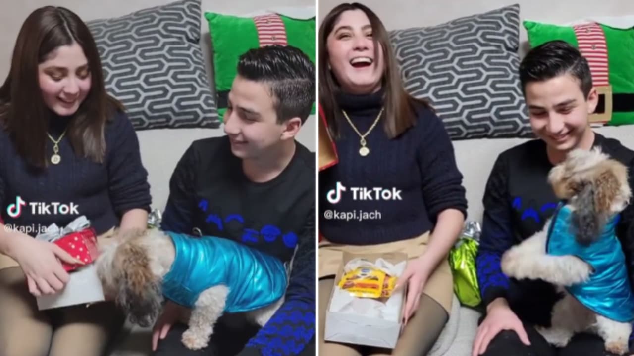 Perrito se emociona con su regalo de Navidad