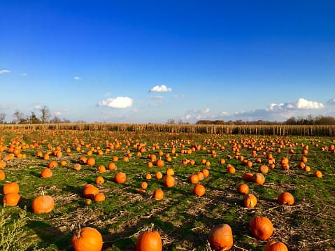 <b>Graff 7A Ranch </b>| 911 US-90, Hondo, TX 78861, EE. UU.