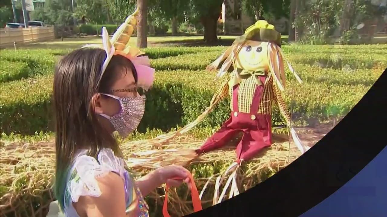 El disfraz no es una protección, el mensaje de líderes de San Antonio sobre los festejos de Halloween