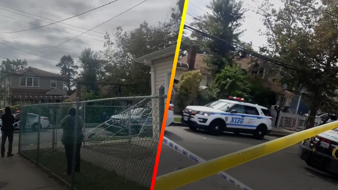 Hombre estuvo más de 24 horas trepado de un árbol para evitar su arresto