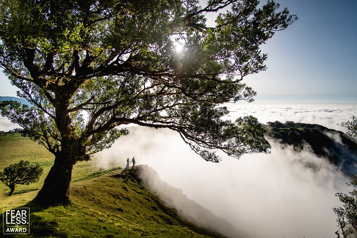 Crédito: 
<a href="http://www.miguelpontephotography.com/" target="_blank">MIGUEL PONTE</a> - Madeira, Portugal