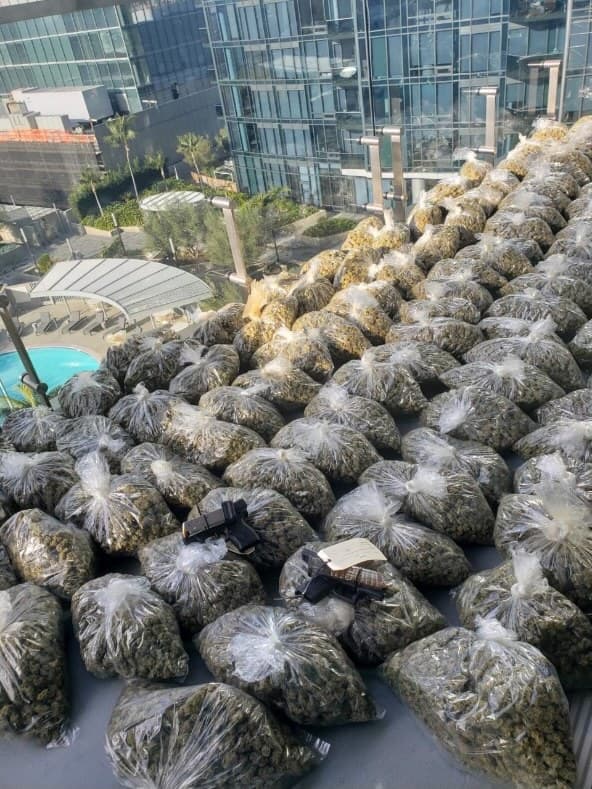 En esta segunda fase de la operación, hubo dos arrestos y decomisos de $658,000 en efectivo y activos, marihuana procesada y en plantas, además de armas de fuego.